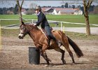 MountedGamesBayrischeMeisterschaft2015 184