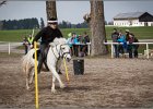 MountedGamesBayrischeMeisterschaft2015 195