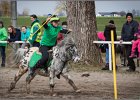 MountedGamesBayrischeMeisterschaft2015 197