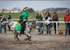 MountedGamesBayrischeMeisterschaft2015 198