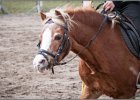 MountedGamesBayrischeMeisterschaft2015 199