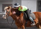 MountedGamesBayrischeMeisterschaft2015 202