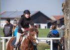 MountedGamesBayrischeMeisterschaft2015 205