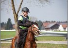 MountedGamesBayrischeMeisterschaft2015 206