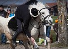 MountedGamesBayrischeMeisterschaft2015 208