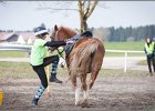 MountedGamesBayrischeMeisterschaft2015 210