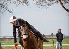 MountedGamesBayrischeMeisterschaft2015 216