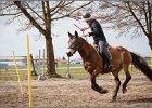 MountedGamesBayrischeMeisterschaft2015 217