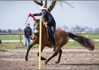 MountedGamesBayrischeMeisterschaft2015 218