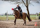 MountedGamesBayrischeMeisterschaft2015 219