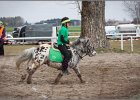 MountedGamesBayrischeMeisterschaft2015 228