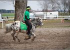 MountedGamesBayrischeMeisterschaft2015 229