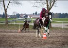 MountedGamesBayrischeMeisterschaft2015 236