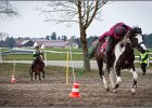 MountedGamesBayrischeMeisterschaft2015 237