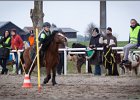MountedGamesBayrischeMeisterschaft2015 238