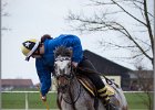 MountedGamesBayrischeMeisterschaft2015 240