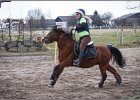 MountedGamesBayrischeMeisterschaft2015 244