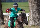 MountedGamesBayrischeMeisterschaft2015 246