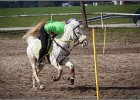 MountedGamesBayrischeMeisterschaft2015 248