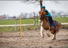 MountedGamesBayrischeMeisterschaft2015 255
