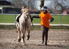 MountedGamesBayrischeMeisterschaft2015 257