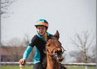 MountedGamesBayrischeMeisterschaft2015 259