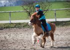 MountedGamesBayrischeMeisterschaft2015 264
