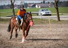MountedGamesBayrischeMeisterschaft2015 265