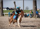 MountedGamesBayrischeMeisterschaft2015 267