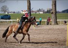 MountedGamesBayrischeMeisterschaft2015 271