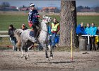 MountedGamesBayrischeMeisterschaft2015 274