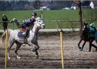 MountedGamesBayrischeMeisterschaft2015 276