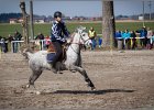 MountedGamesBayrischeMeisterschaft2015 279
