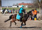 MountedGamesBayrischeMeisterschaft2015 281