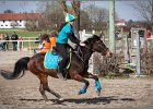 MountedGamesBayrischeMeisterschaft2015 282