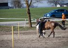 MountedGamesBayrischeMeisterschaft2015 284