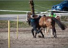 MountedGamesBayrischeMeisterschaft2015 285