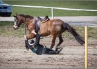 MountedGamesBayrischeMeisterschaft2015 286