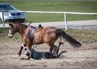 MountedGamesBayrischeMeisterschaft2015 287