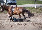 MountedGamesBayrischeMeisterschaft2015 288
