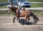 MountedGamesBayrischeMeisterschaft2015 289