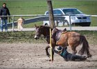MountedGamesBayrischeMeisterschaft2015 290
