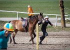 MountedGamesBayrischeMeisterschaft2015 292
