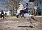MountedGamesBayrischeMeisterschaft2015 295