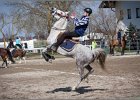 MountedGamesBayrischeMeisterschaft2015 296