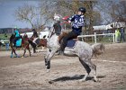 MountedGamesBayrischeMeisterschaft2015 298