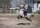MountedGamesBayrischeMeisterschaft2015 299