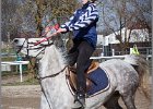 MountedGamesBayrischeMeisterschaft2015 301