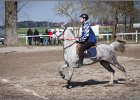 MountedGamesBayrischeMeisterschaft2015 303