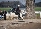 MountedGamesBayrischeMeisterschaft2015 305